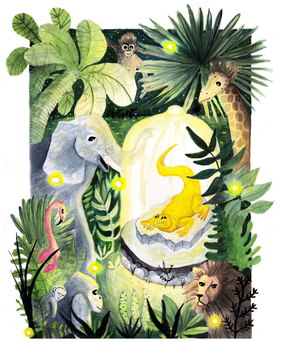 Children's book illustration