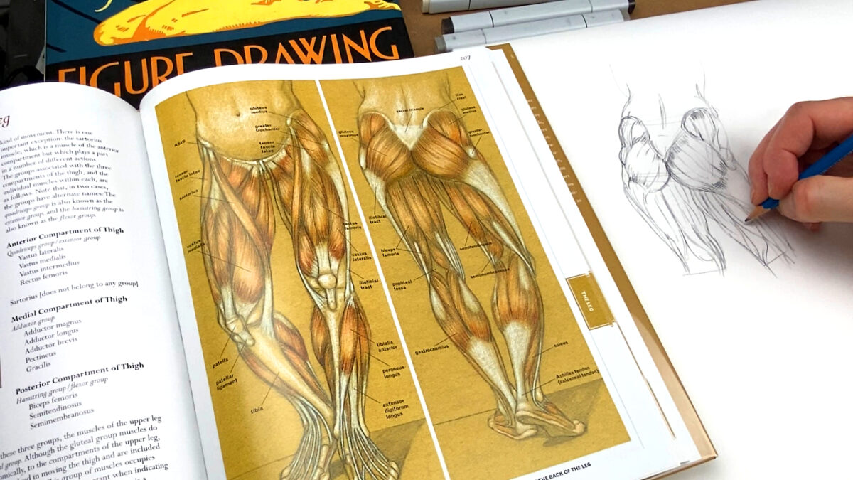 Anatomy study demonstration by instructor